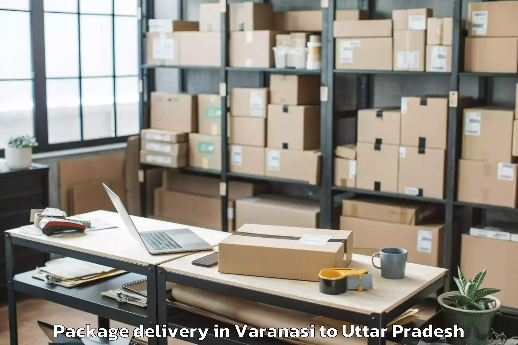 Trusted Varanasi to Bidhuna Package Delivery